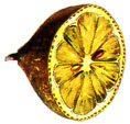  Bildquelle: Ernst Klett Verlag - Zitrone - Citrus limon